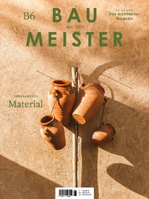 cover image of Baumeister